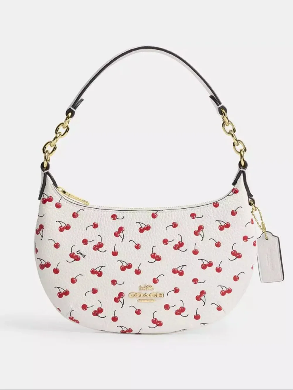Mini Payton Bag With Cherry Print CFD04